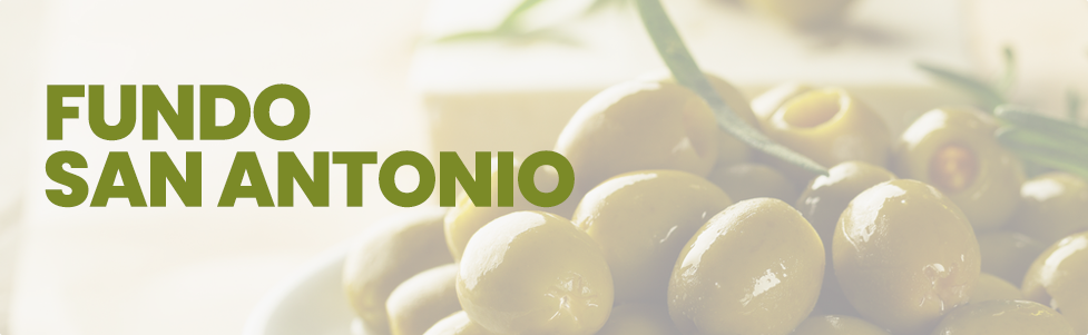 Fundo San Antonio